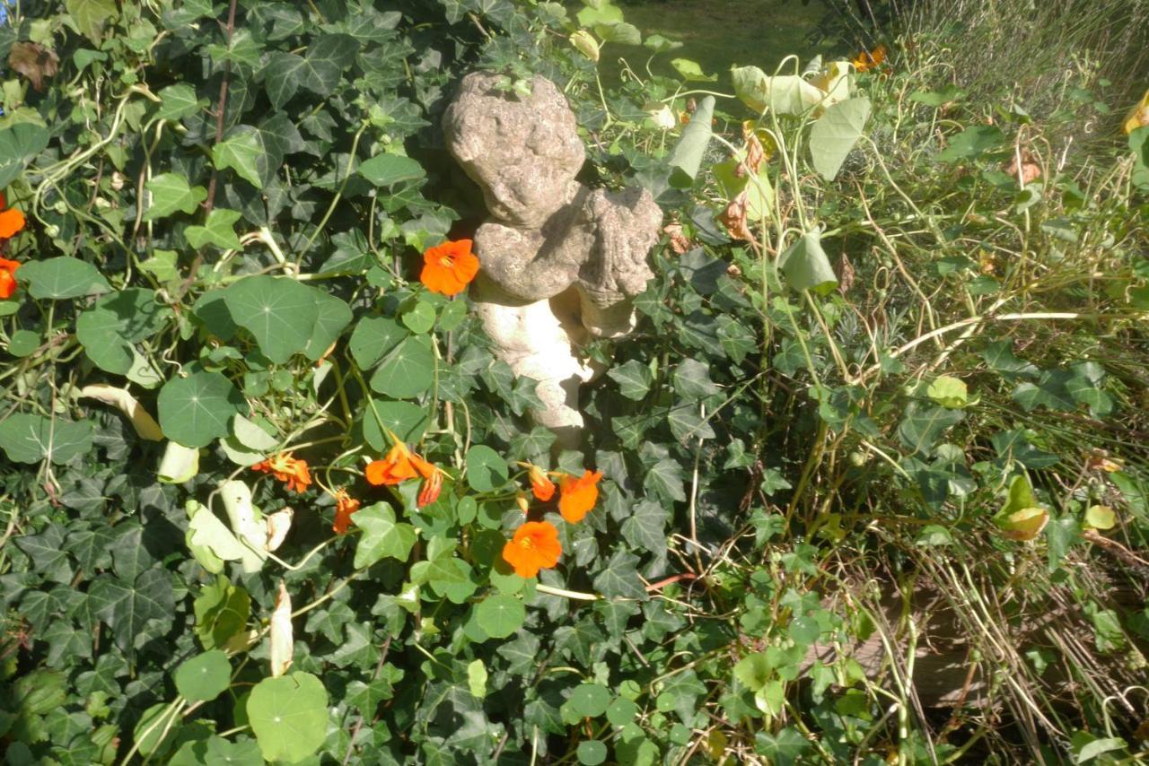 Glueck In Benrath Accommodatie bij particulieren